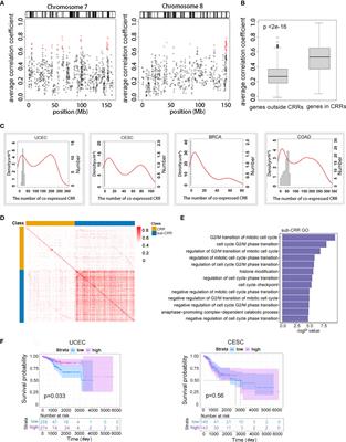 A CTCF-Binding Element and Histone Deacetylation Cooperatively Maintain Chromatin Loops, Linking to Long-Range Gene Regulation in Cancer Genomes